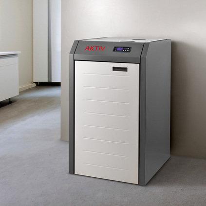 Compact modern pellet boiler with digital display for home heating.