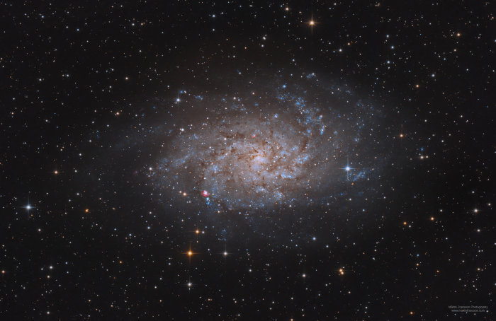 Stjärnklart fotografi av en detaljerad galax med olikfärgade stjärnor mot en mörk rymdbakgrund.