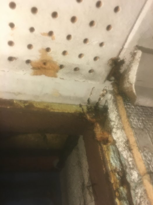 Närbild på skadat tak med hål, gult missfärgat och insyn i ventilationshål visande gipsskikt och svart papp.