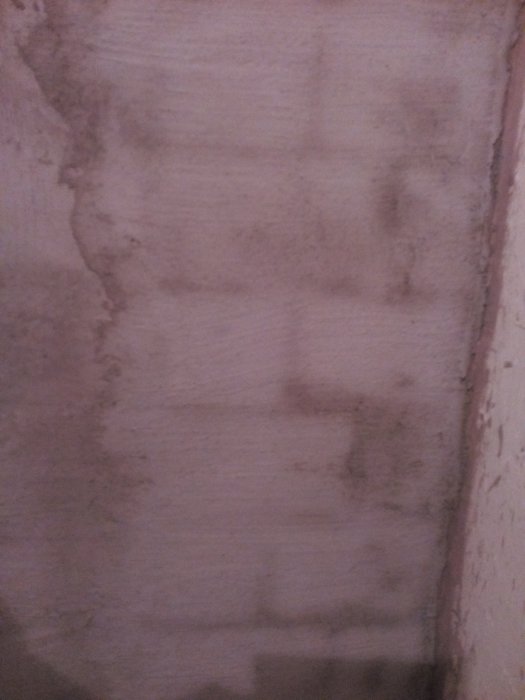 Källarvägg med synliga mörkare fogar trots applicerad rödgrund och puts, fråga om vidare åtgärder.