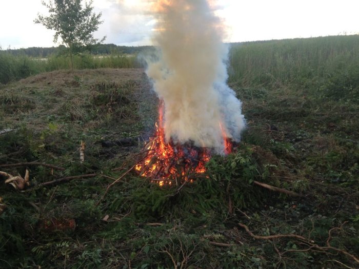 Eld och rök från bränning av kvistar och vegetation på igenvuxen tomt under röjningsarbete.