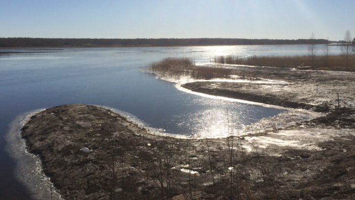 Igenväxt strand vid frusen sjö med tunn is och solreflexion på vattnet.