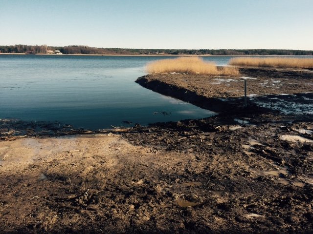 Strandkant vid en sjö med lerig mark och torrt gräs i början av våren.