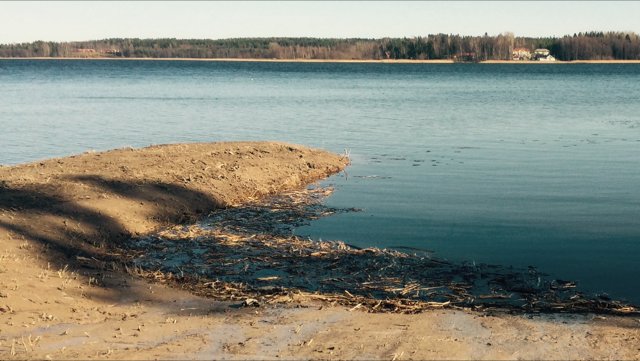 Sandstrand vid lugnt vatten med skog och hus i bakgrunden på vårkanten.