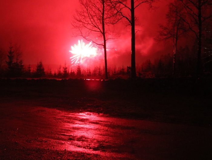 Fyrverkeri exploderar i rött sken mellan träd, speglar sig i våt mark.