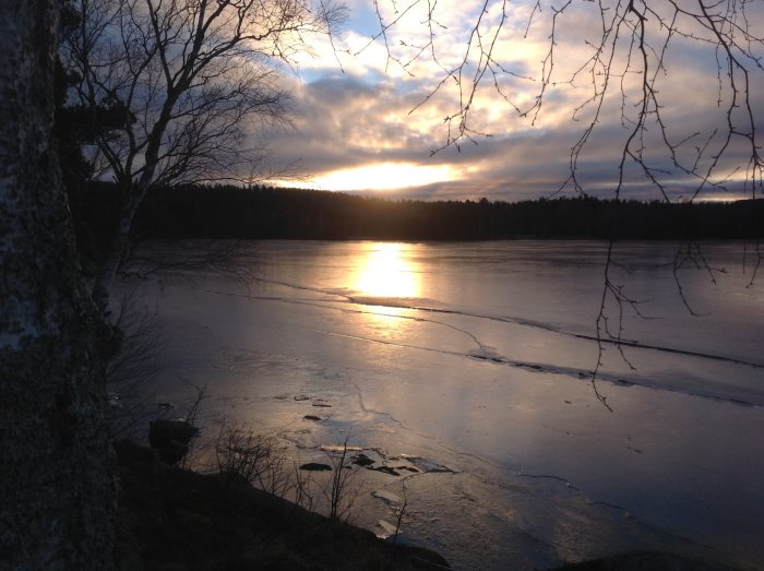 Solnedgång över en frusen sjö med nakna grenar i förgrunden.