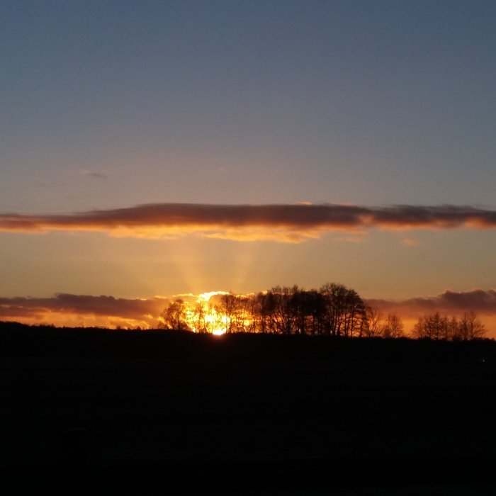 20170102_153504.jpg