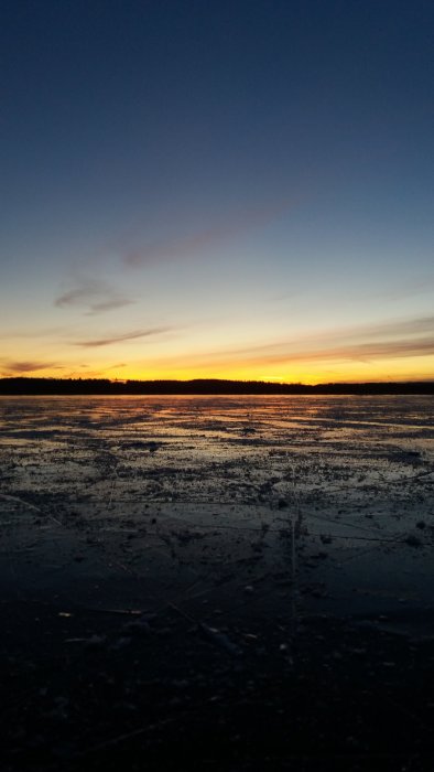 Solnedgång över en frusen sjö med spår av skridskoåkning.