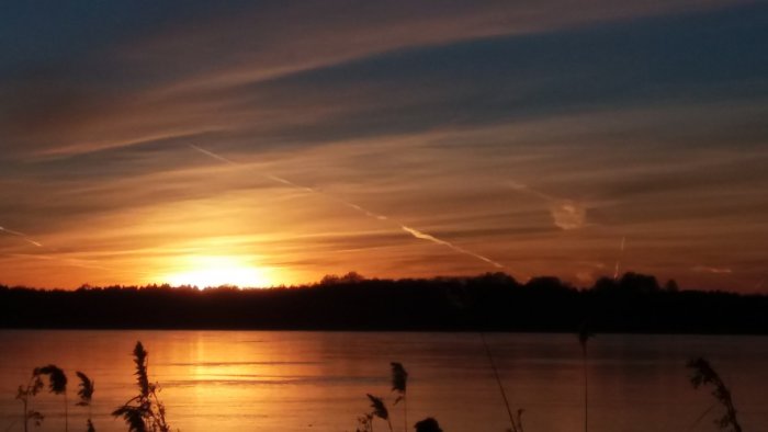 Solnedgång med varma färger över en stilla sjö och silhuett av trädlinje mot en molnstrimmig himmel.