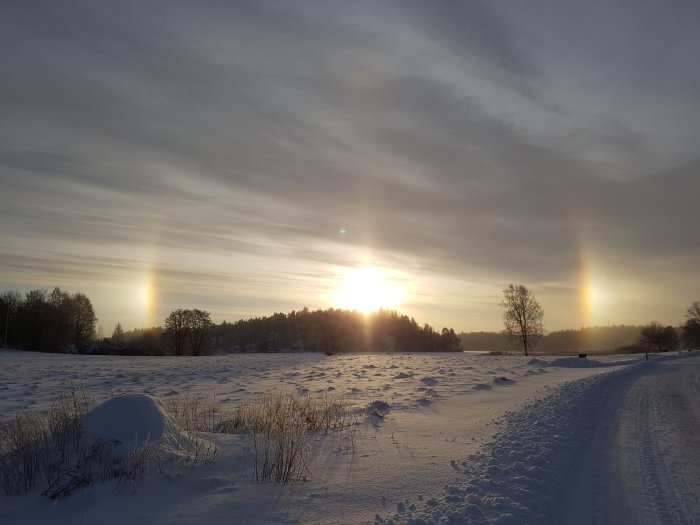 Solhalo i form av ljusa pelare på vardera sida om solen över ett snötäckt landskap på Ekerö.