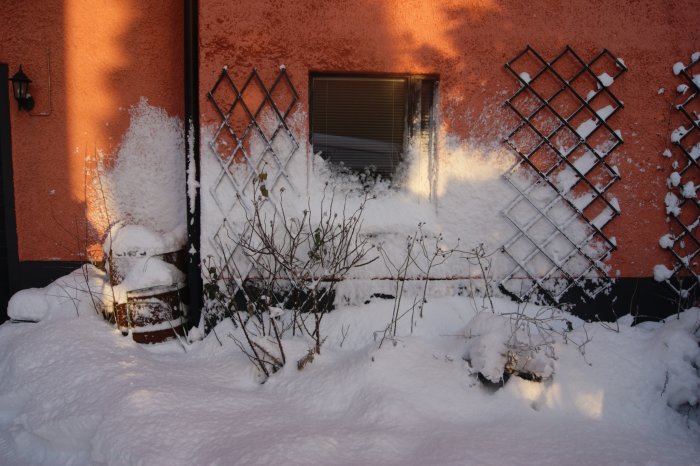 Snöspray täcker hörn av hus, fönster och trädgård i vintersolens sken.