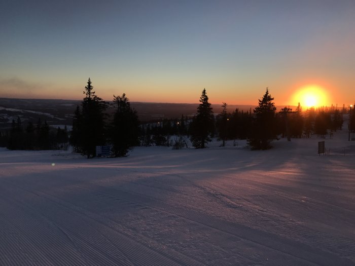 Soluppgång över snötäckta slalombackar med träd i Klövsjö.
