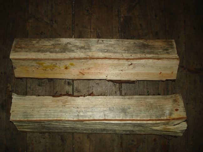 Översiktsbild av fem vedklabbar med varierande grader av missfärgning och mögel på ett trägolv.