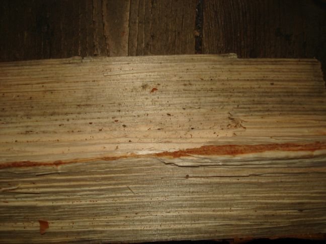 Vedklabb med tecken på missfärgning eller svartmögel och en synlig spricka.