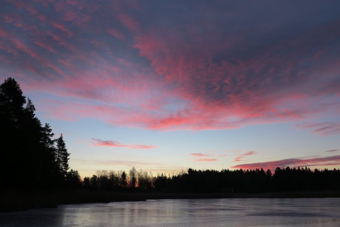 Solnedgång med rosa moln över en frusen sjö och silhuetter av träd i förgrunden.