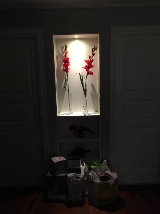 Väggspot belyser röda gladiolblommor i en vit inbyggd hylla, omgiven av mörka väggar och saker på golvet.