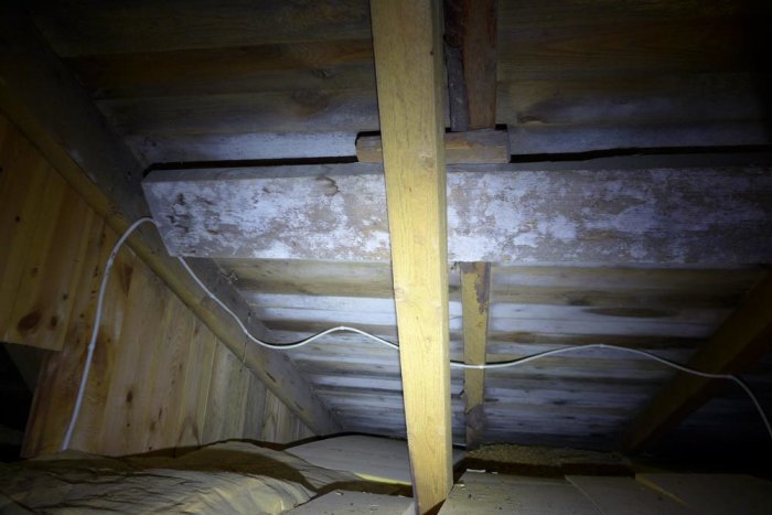 Mögel på trätakstolar och isolering i en vindmiljö, synliga vita fläckar och missfärgning.