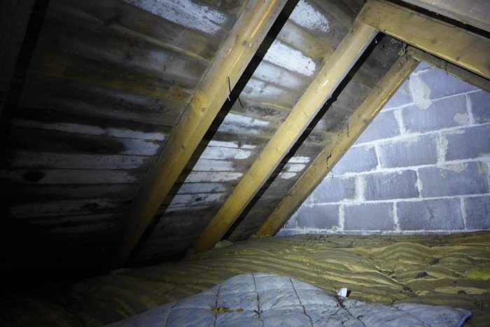 Vind med synliga mögelskador på träbjälkar och tegelvägg, isolering syns i förgrunden.