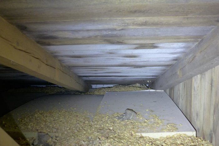 Vind med mögelpåväxt på träbjälkar och isoleringsmaterial synligt på golvet.