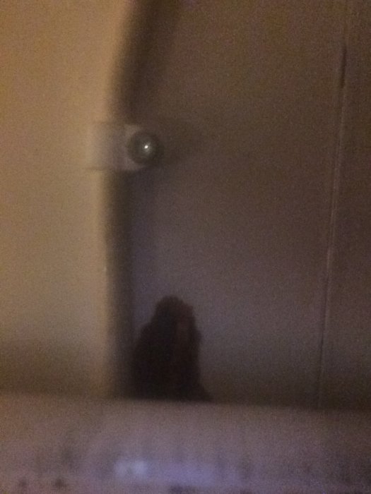 Rund skruv i ett fäste inuti en betongvägg, möjlig renovering av köksskåp.