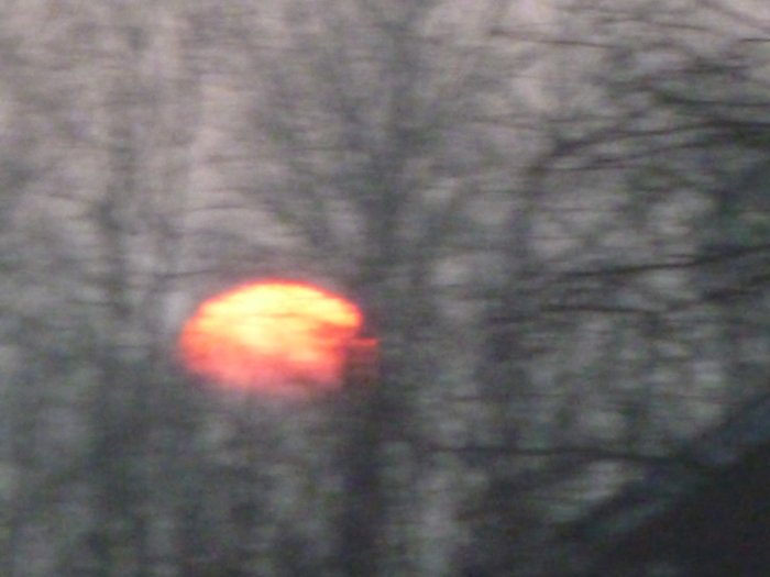 Suddig bild av en röd solnedgång genom trädgrenar.