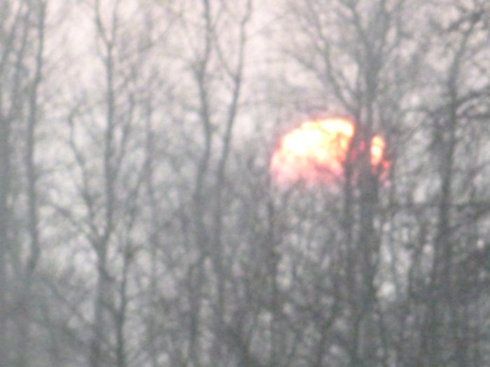 Suddig bild av en ovanligt röd solnedgång sett genom trädgrenar.