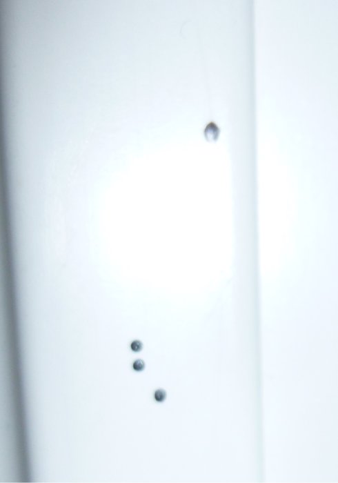 Flugbajs på vit dörrkarm med ett synligt spikhuvud ovanför.