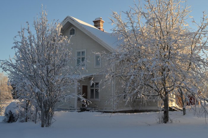 Vitt trähus täckt av snö med snötäckta träd i förgrunden under en klarblå himmel.