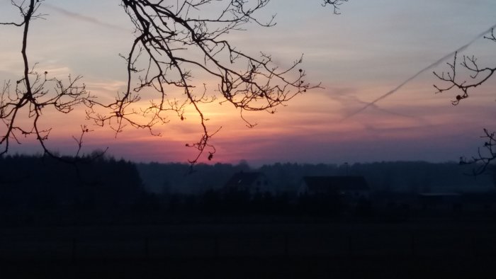 Lantlig silhuett med trädgrenar och korsande flygplansspår mot en rosa och orange solnedgång.