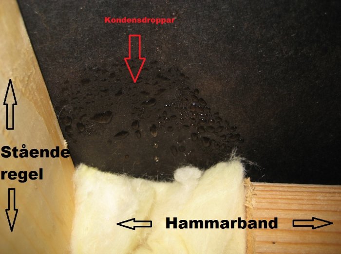 Kondensdroppar på vindpapp ovanför hammarband med synlig stående regel och isolering.