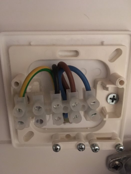 Öppet eluttag med färgkodade trådar: gul/grön, blå och brun samt en icke ansluten kabel.