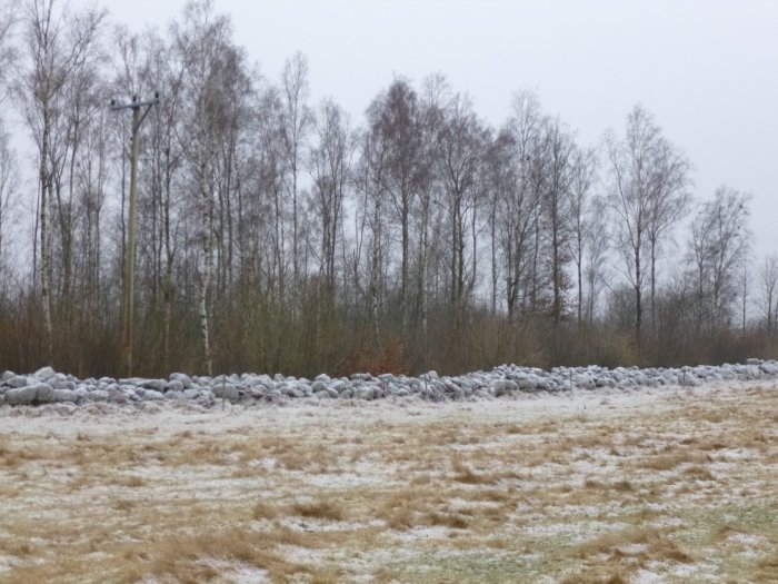 En vit stenmur längs med en frosttäckt äng på en gråmulen dag, omgiven av lövfällande träd.