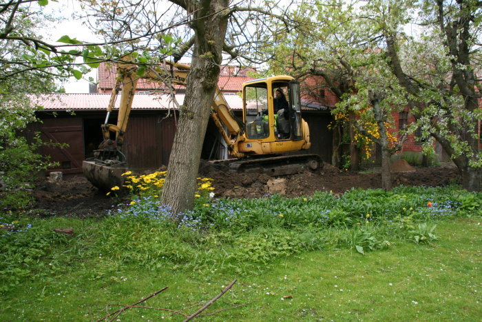 485.JPG