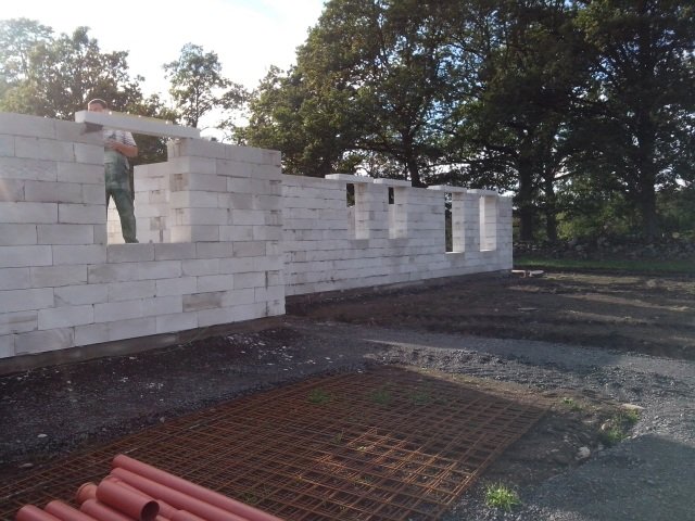 hus 012.jpg