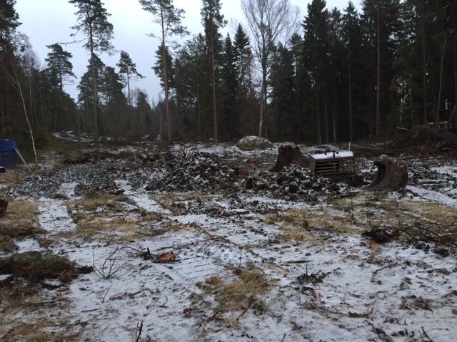 Tidigt skede av byggprojekt med röjda träd och snöfläckad mark.