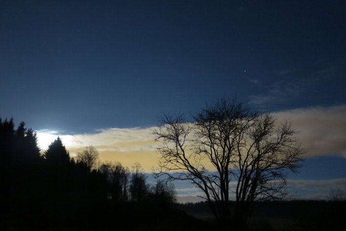 Kvällshimmel upplyst av fullmåne med silhuetter av träd och moln.