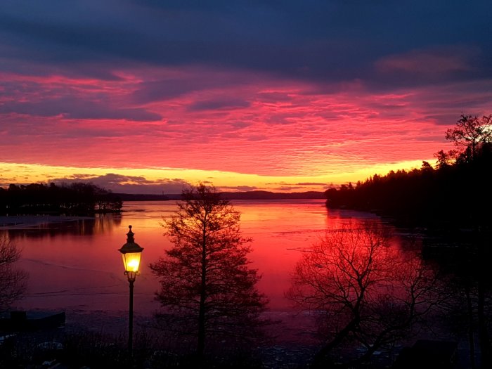 Vivid sunrise over Ekerö with silhouettes of trees and a lit lamp post against a colorful sky.