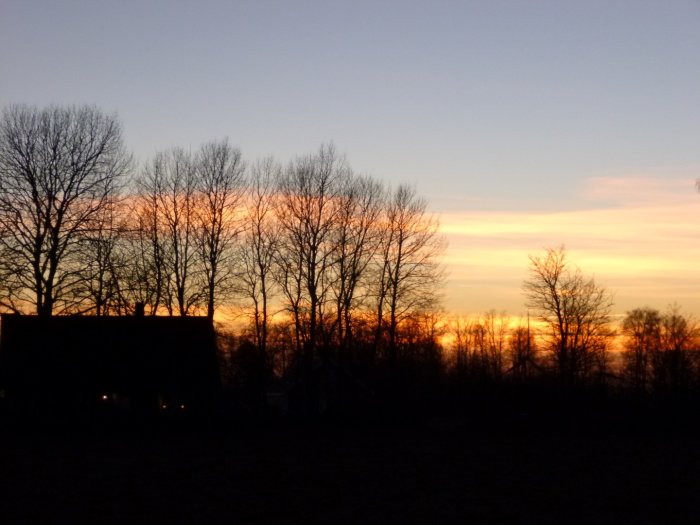 Solnedgång med orange himmel och träd i siluett, grannens hus syns som en mörk profil.