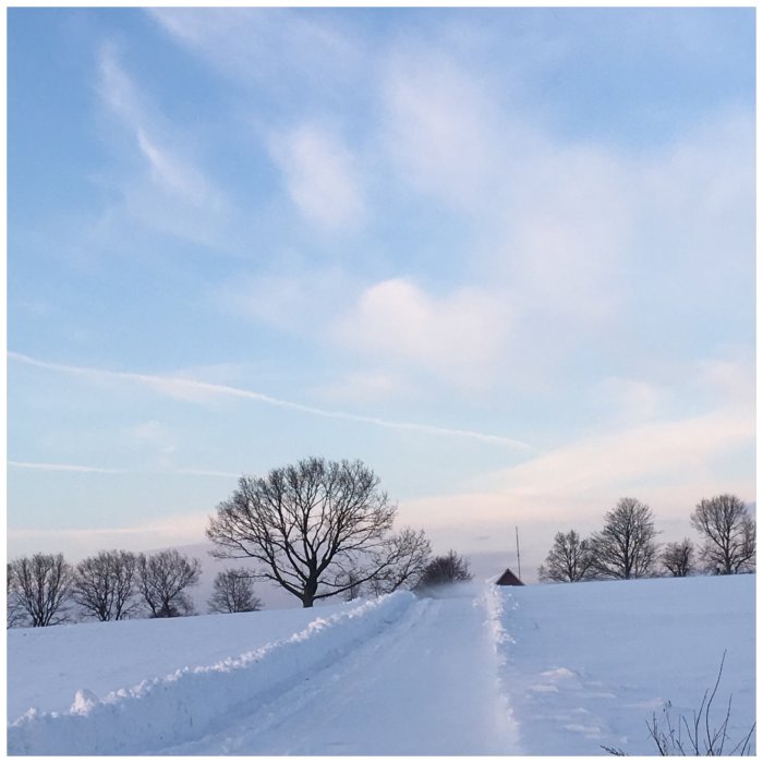 Snötäckt väg med två hjulspår och gräs mitt i, träd och blå himmel i bakgrunden.