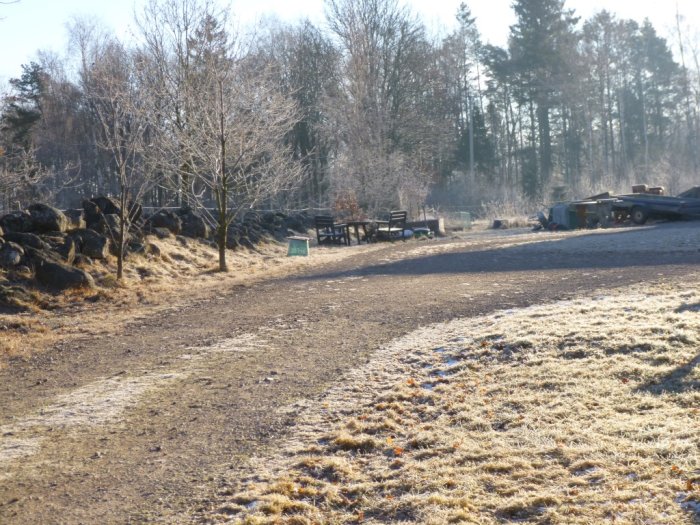 En frostig grusväg med sparsam snö, omgiven av träd och en stenmur, under en klar morgon.