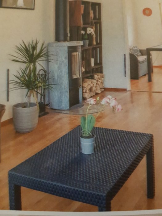 Inredd vardagsrumsvy med kamin, bokhylla, soffbord och växter från en mäklarkatalog.