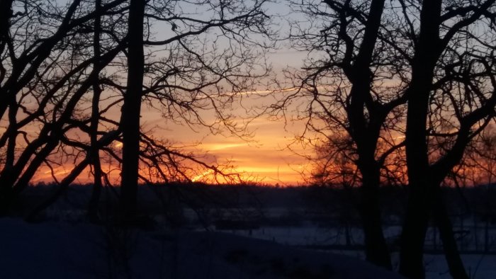Solnedgång med silhuett av trädgrenar och ett snötäckt landskap i Skåne.