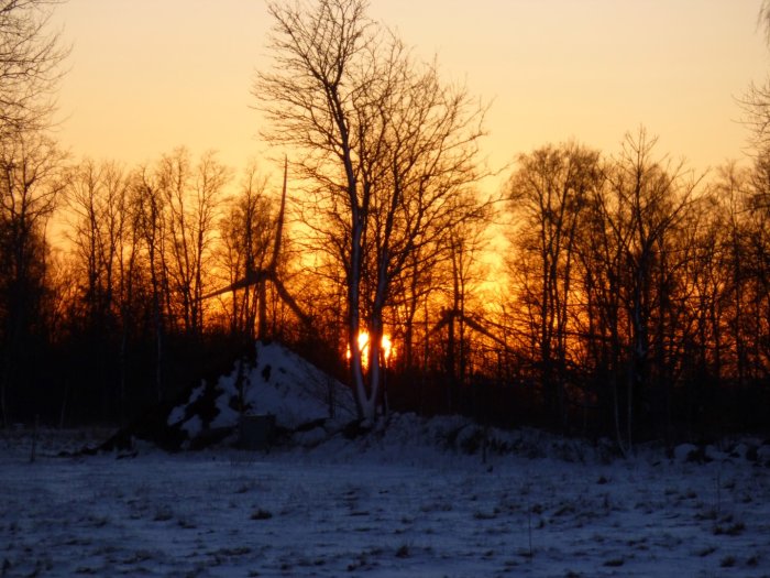 Solnedgång med intensiva orange toner bakom silhuetter av träd och snötäckt mark.