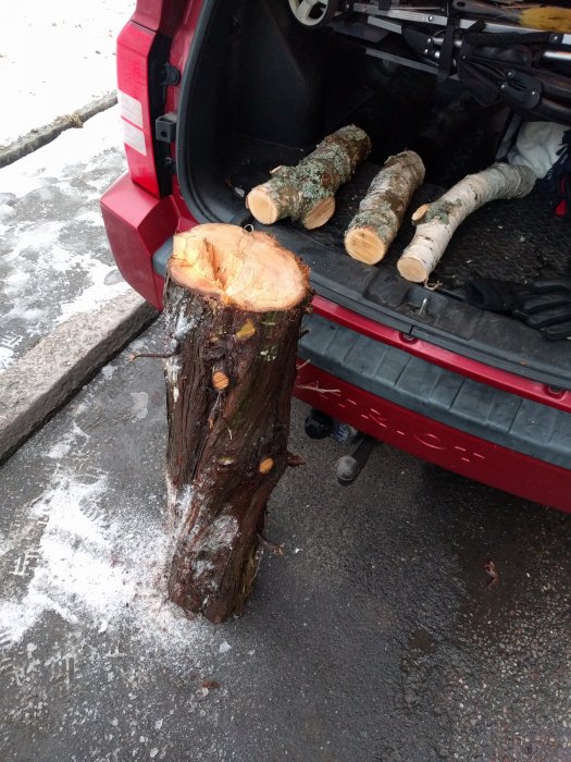 En meterlång stubbe av eneträ vid en bilbagageöppning med fler vedbitar i bakgrunden.