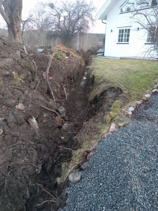 Nygrävd ränna för vattenledning vid trädsida, nära vit husvägg och grusgång.