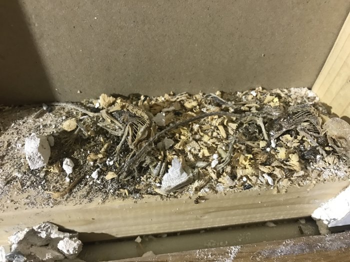 Skadade elledningar och isolering bland byggavfall på en träyta indikerar farliga elinstallationer.