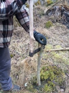 Person som använder spräckjärn och klubba för att klyva pinne vid bygge av kompost.