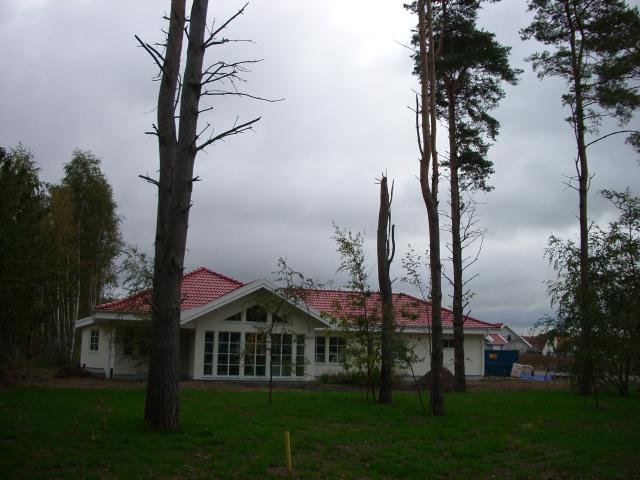 IMGP6406.jpg