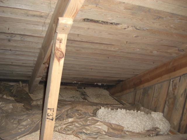 PO20081010_0004.jpg