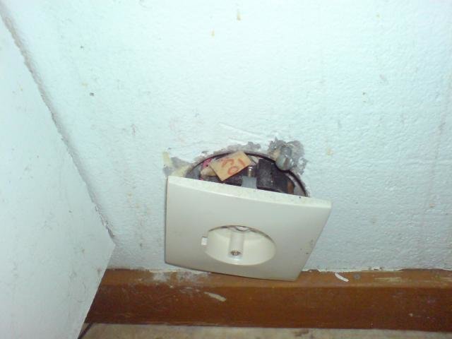 DSC00309.jpg